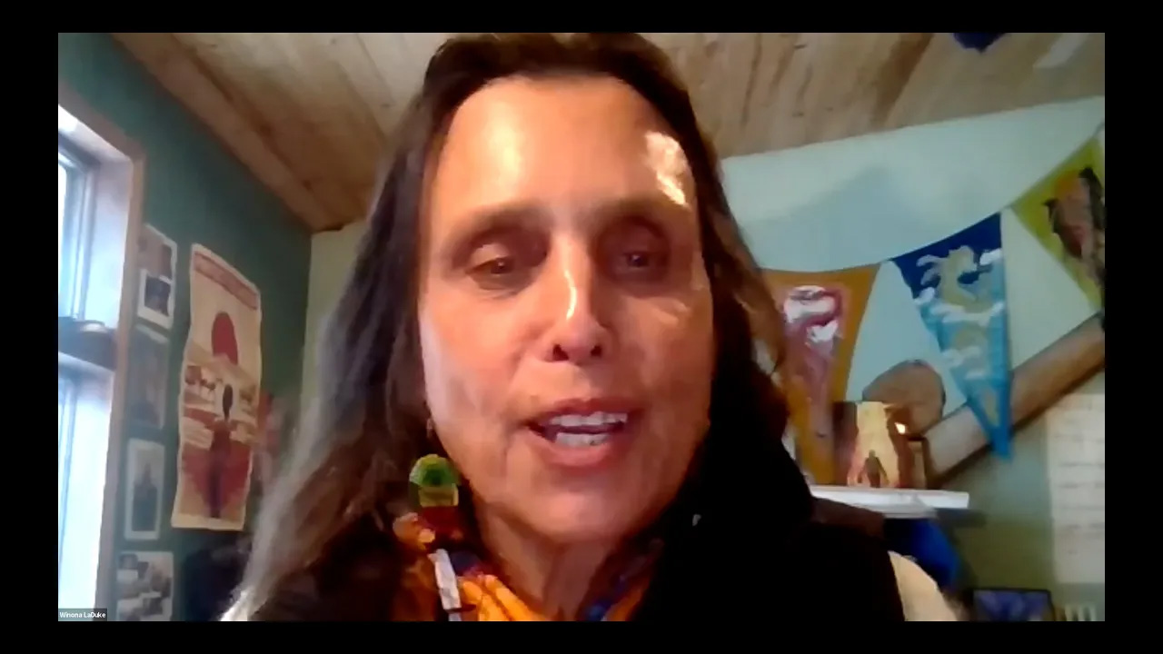 Webinar screenshot of Winona LaDuke