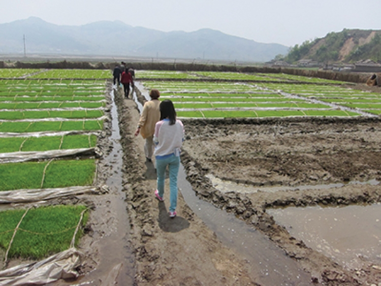 There’s more to North Korea than meets the eye: Here are five ways to learn more