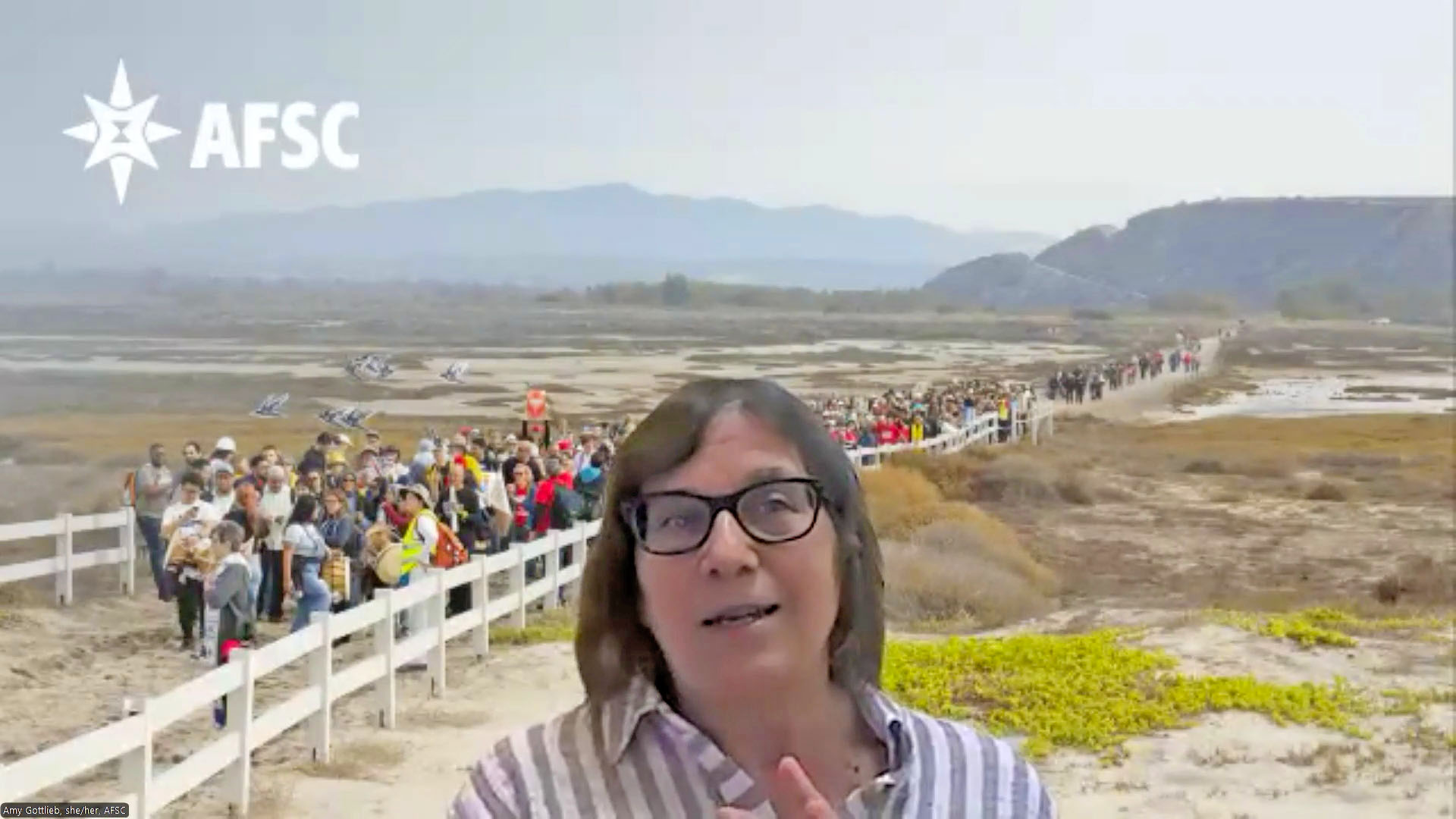 Woman speaking on a webinar with a photo of an action in the background