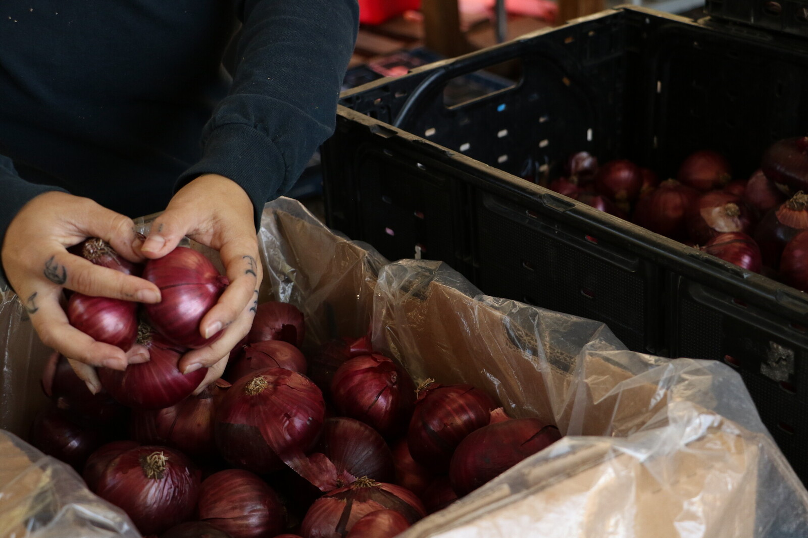 In New Mexico, farmers unite to face climate change